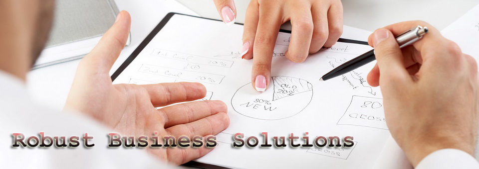 Robust Business Solutions